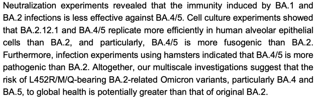 Neutralization experiments revealed that the immunity induced by BA.1 and BA.2 infections is less effective against BA.4/5. Cell culture experiments showed that BA.2.12.1 and BA.4/5 replicate more efficiently in human alveolar epithelial cells than BA.2, and particularly, BA.4/5  is more fusogenic than BA.2. Furthermore, infection experiments using hamsters indicated that BA.4/5 is more pathogenic than BA.2. Altogether, our multiscale investigations suggest that the risk of L452R/M/Q-bearing BA.2-related Omicron variants, particularly BA.4 and BA.5 to global health is potentially greater than that of original BA.2.