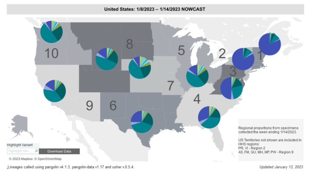 Regional difference map of the US with 10 regions each with roughly 3 or 4 states depicted as shades of gray. Title reads “United States: 1/8/2023 - 1/14/2023 Nowcast.” Each region has a colored pie chart showing variant proportions. Legend at bottom right reads “Regional proportions from specimens collected the week ending 1/7/2023” and “US Territories not shown are included in HHS regions: PR, VI - Region 2. AS, FM, GU, MH, MP, PW - Region 9.” XBB1.5 (dark purple) makes up over three-quarters of the pie in regions 1 and 2 (Northeast), about half in region 3 (Mid-Atlantic) and smaller slivers elsewhere. BQ1.1 (teal) and BQ1 (dark teal) are the most common in the rest of the country, i.e. regions 4 through 10. Bottom text reads: “Updated January 13, 2023” and  “Lineages called using pangolin v4.1.3, pangolin-data v1.17 and user v.0.5.4.”
