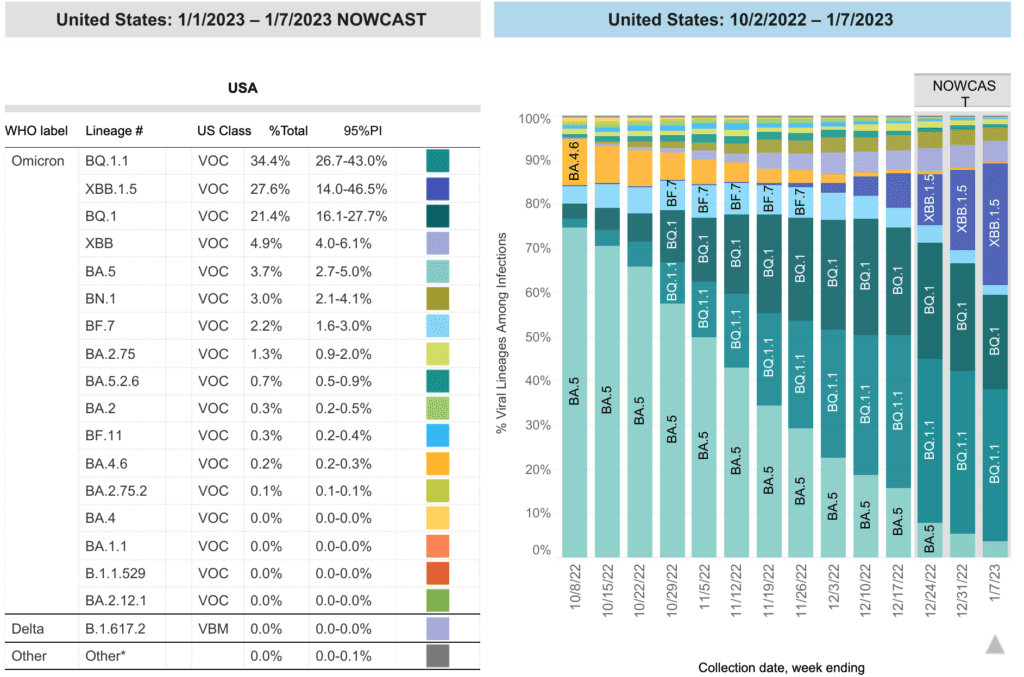 A stacked bar chart with weeks on the x-axis shows weeks from 10/8/2022 to 1/7/2023 and y-axis as percentage of viral lineages among infections. The recent 3 weeks are labeled as Nowcast projections. A table on the left lists specific lineages, percent totals, and 95 percent PIs for the most recent week.  BQ1.1 (teal) continues as the most prevalent lineage at 34.4 percent as of 1/7/23. XBB.1.5 (dark purple) became the second-most prevalent lineage at 27.6 percent as BQ1 (dark teal) decreased to 21.4 percent. XBB.1.5 was barely visible in November weeks’ data and has grown significantly since then. XBB (periwinkle purple) is fourth most prevalent at 4.9 percent, followed by BA.5 (light teal) which is now at just 3.7 percent.