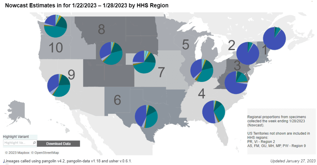 Regional difference map of the US with 10 regions each with roughly 3 or 4 states depicted as shades of gray. Title reads “Nowcast Estimates in for 1/22/2023 to 1/28/2023 by HHS Region.” Each region has a colored pie chart showing variant proportions. Legend at bottom right reads “Regional proportions from specimens collected the week ending 1/28/2023” and “US Territories not shown are included in HHS regions: PR, VI - Region 2. AS, FM, GU, MH, MP, PW - Region 9.” XBB1.5 (dark purple) makes up nearly 90 percent of the pie in regions 1 and 2 (Northeast), almost 75 percent in region 3 (Mid-Atlantic) and ranges from about 20 to 50 percent elsewhere. BQ1.1 (teal) shares less than 30 percent of region 4’s infections and remains nearly the most dominant lineage in regions 5 to 10. Bottom text reads: “Updated January 27, 2023” and  “Lineages called using pangolin v4.2, pangolin-data v1.18 and user v.0.6.1.”