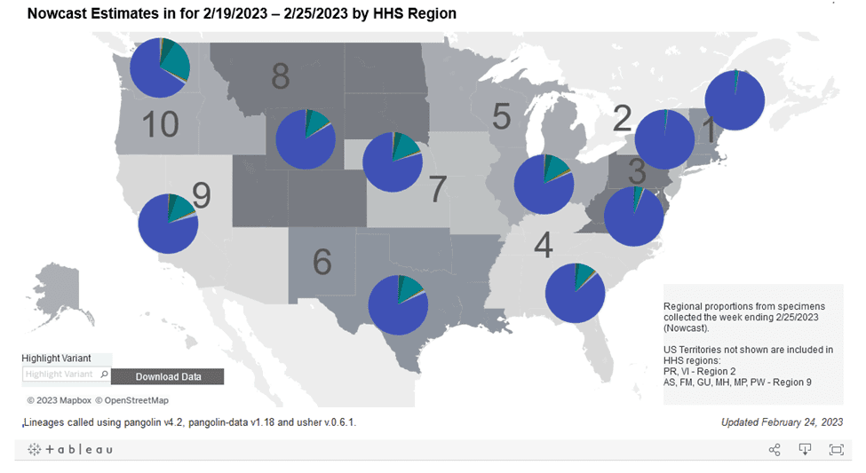 Regional difference map of the US with 10 regions each depicted as shades of gray. In general, the numbers start in the Northeast and increase as they move south and then westward. Title reads “Nowcast Estimates for 2/19/2023 to 2/25/2023 by HHS Region.” Each region has a colored pie chart showing variant proportions. Legend at bottom right reads “Regional proportions from specimens collected the week ending 2/25/2023.” XBB1.5 (dark purple) makes up about 97 percent of the pie in regions 1 and 2, and 93% in 3 (Northeast & Mid-Atlantic). The proportion of XBB1.5 is lower moving westward, with ranges from about 66 to 86 percent across the remainder of the country. Bottom text reads: “Updated February 24, 2023” and  “Lineages called using pangolin v4.2, pangolin-data v1.18 and user v.0.6.1.”