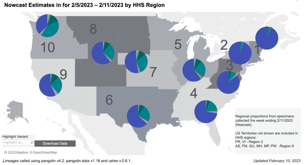 Regional difference map of the US with 10 regions each depicted as shades of gray. In general, the numbers start in the Northeast and increase as they move south and then westward. Title reads “Nowcast Estimates for 2/5/2023 to 2/11/2023 by HHS Region.” Each region has a colored pie chart showing variant proportions. Legend at bottom right reads “Regional proportions from specimens collected the week ending 2/11/2023.” XBB1.5 (dark purple) makes up about 90 percent of the pie in regions 1, 2 and 3 (Northeast & Mid-Atlantic) and ranges from about 30 to 75 percent elsewhere. BQ1.1 (teal) is about 40 percent of cases in region 10 (North-West). It shares less than 25 percent along the east coast, representing about 25 percent of infections in regions 5 through 9. BQ1 (green) represents about 5 to 15 percent of infections in Regions 4-10. Bottom text reads: “Updated February 10, 2023” and  “Lineages called using pangolin v4.2, pangolin-data v1.18 and user v.0.6.1.