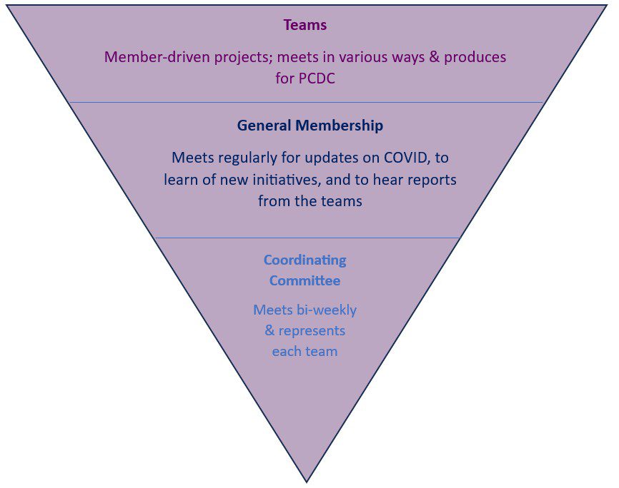 Inverted triangle listing organizational structure consisting of teams, general membership, and coordinating committee