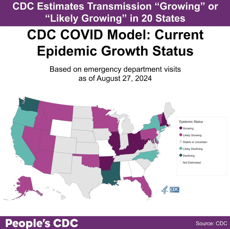 A map of the United States color-coded in shades of purple and gray displaying the CDC COVID Model: Current Epidemic Growth Status based on emergency department visits as of August 27, 2024, where purple tones indicate growing or likely growing, teal tones indicate declining or likely declining, and gray indicates “Stable or Uncertain.” States without predictions are represented in white. Text above the map reads “CDC Predicts transmission is ‘Growing’ or ‘Likely Growing’ in 20 states.” Six states are light teal and have “Likely Declining” status. Three states are a deeper teal and have “Declining” status, while twenty states have “Growing” or Likely Growing” Status. All other states and territories are either “Stable or Uncertain” or did not receive estimates. Text at the bottom reads “People’s CDC. Source: CDC.