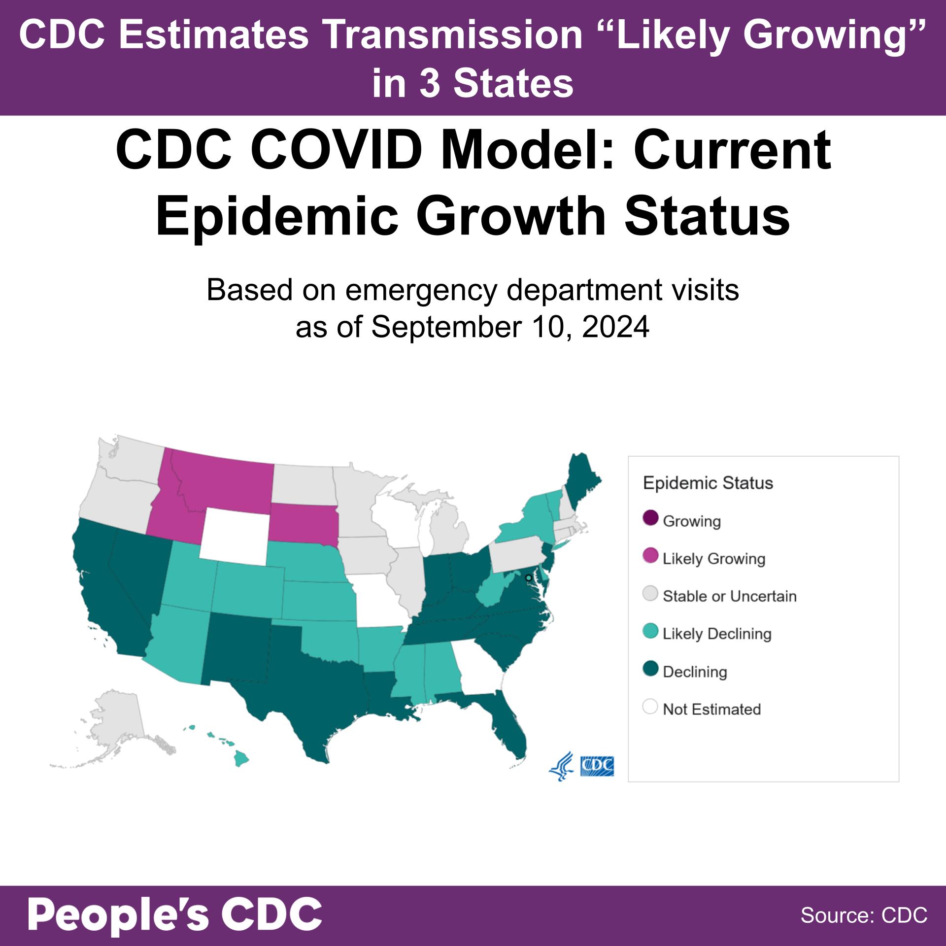 A map of the United States color-coded in shades of purple and gray displaying the CDC COVID Model: Current Epidemic Growth Status based on emergency department visits as of September 10, 2024, where purple tones indicate growing or likely growing, teal tones indicate declining or likely declining, and gray indicates “Stable or Uncertain.” States without predictions are represented in white. Text above the map reads “CDC Predicts transmission is ‘Growing’ or ‘Likely Growing’ in 3 states.” Thirty one states are light to dark teal and have “Declining” or “Likely Declining” status. Three states are light purple and have “Likely Growing” Status. All other states and territories are either “Stable or Uncertain” or did not receive estimates. Text at the bottom reads “People’s CDC. Source: CDC.”