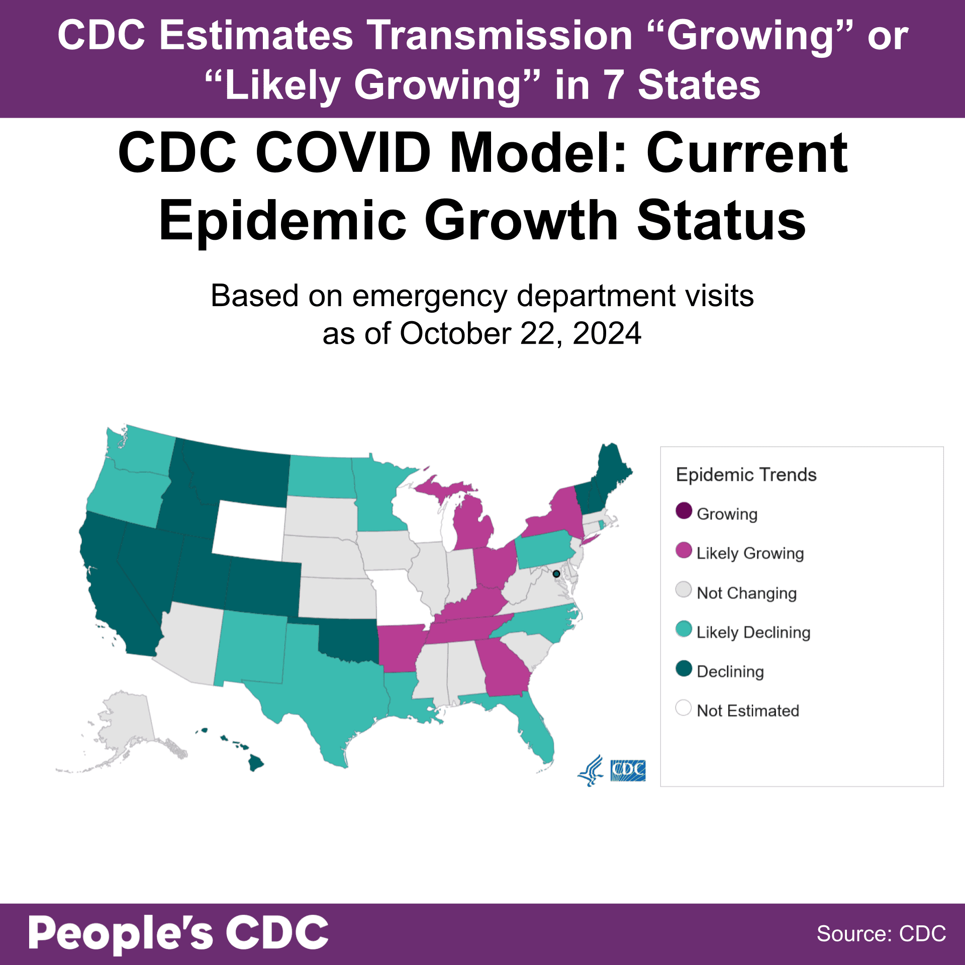 A map of the United States color-coded in shades of purple and gray displaying the CDC COVID Model: Current Epidemic Growth Status based on emergency department visits as of October 22, 2024, where purple tones indicate growing or likely growing, teal tones indicate declining or likely declining, and gray indicates “Not Changing.” States without predictions are represented in white, labeled “Not Estimated.” Text above the map reads “CDC Estimates Transmission is “Growing” Nationally and “Likely Growing” in 7 states.” 23 states and Washington DC are light to dark teal and have “Declining” or “Likely Declining” status. All other states are either “Not Changing” or “Not Estimated.” Text at the bottom reads “People’s CDC. Source: CDC.”